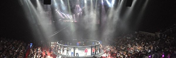 Mixed Martial Arts 2011